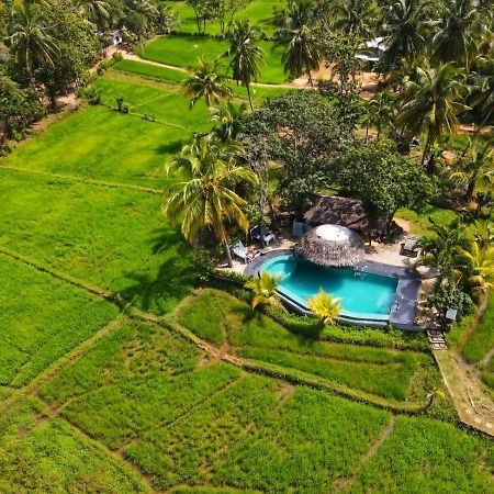 Nelu Villa Sigiriya Exteriör bild