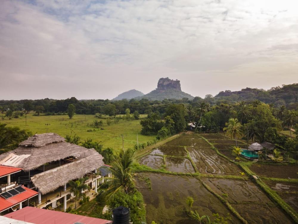 Nelu Villa Sigiriya Exteriör bild