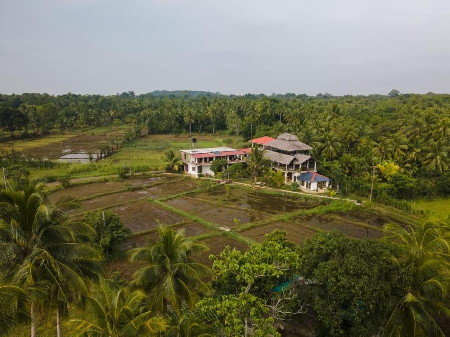 Nelu Villa Sigiriya Exteriör bild