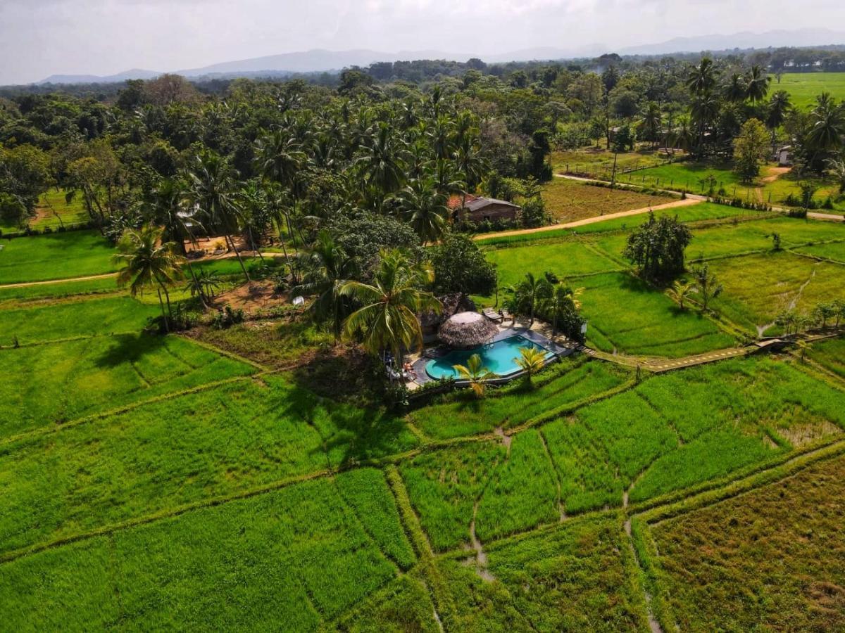 Nelu Villa Sigiriya Exteriör bild