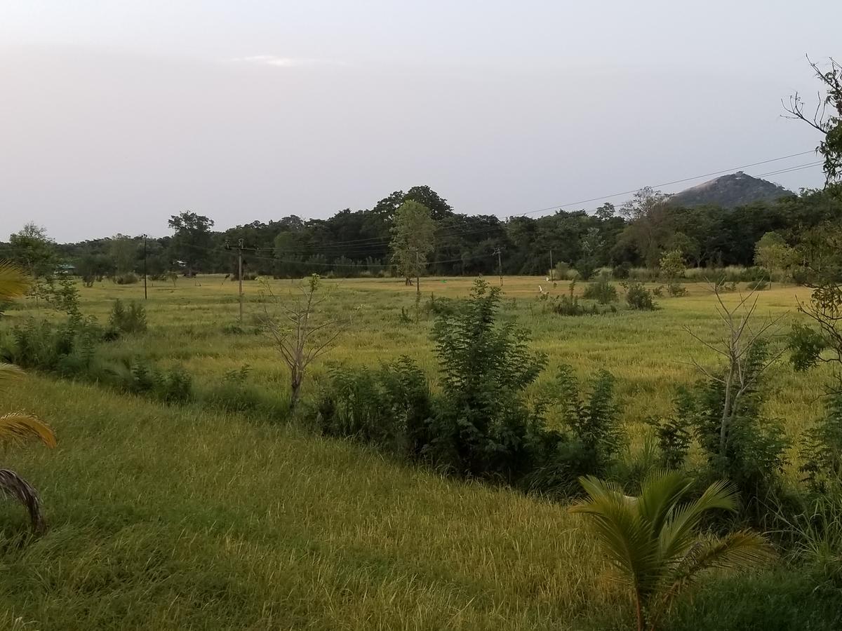 Nelu Villa Sigiriya Exteriör bild